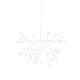 Heracleum III Suspension Lamp: Small - 28.3