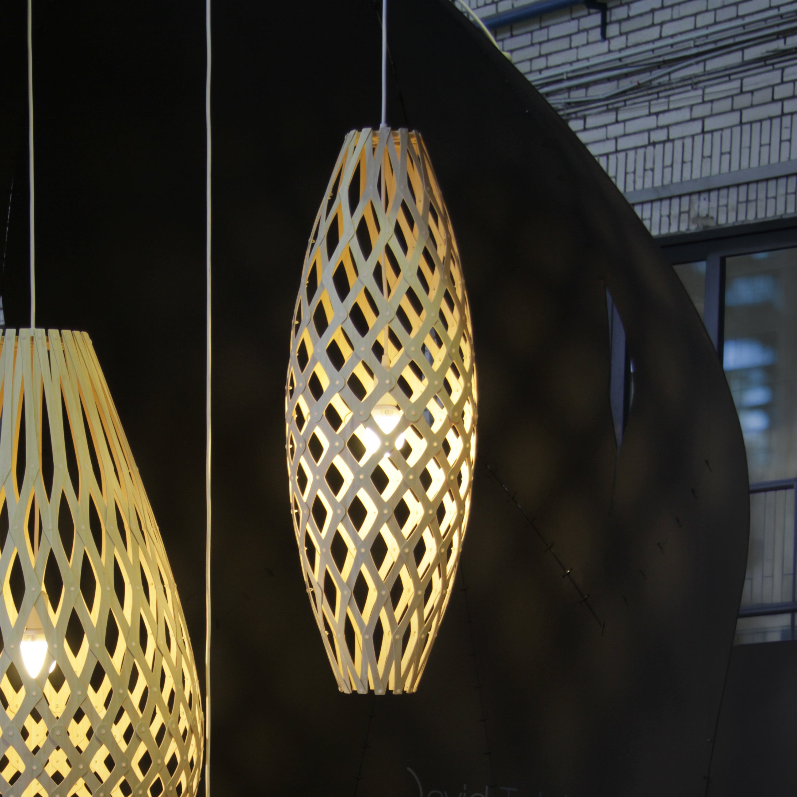 Hinaki Pendant Light: Medium + LS