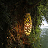 insitu