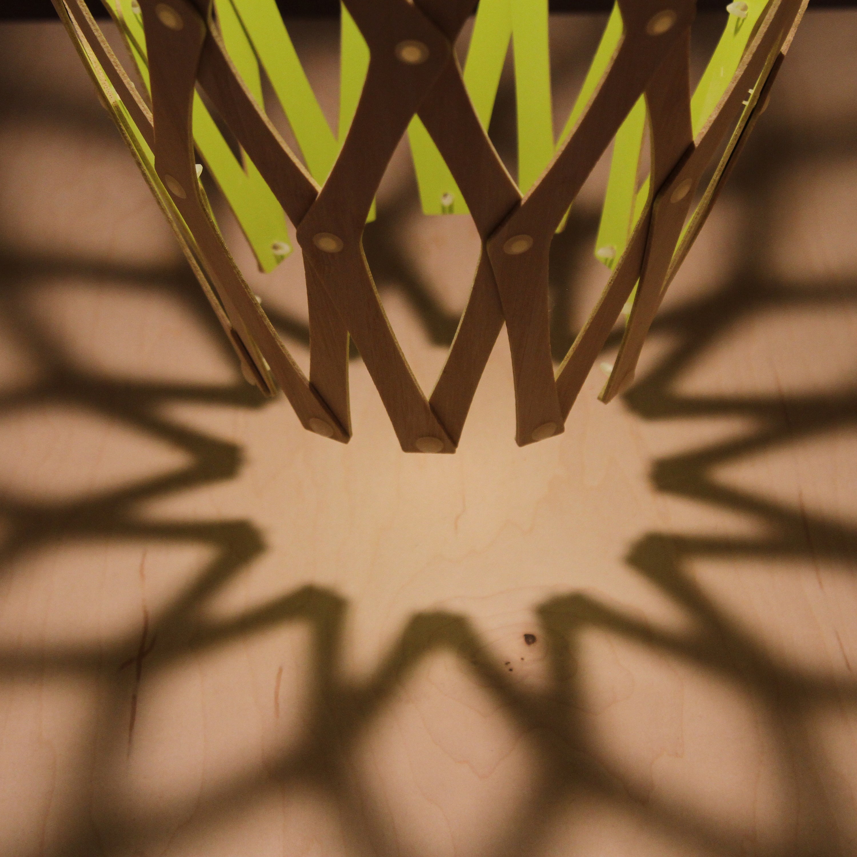 Hinaki Pendant Light: Small + DI