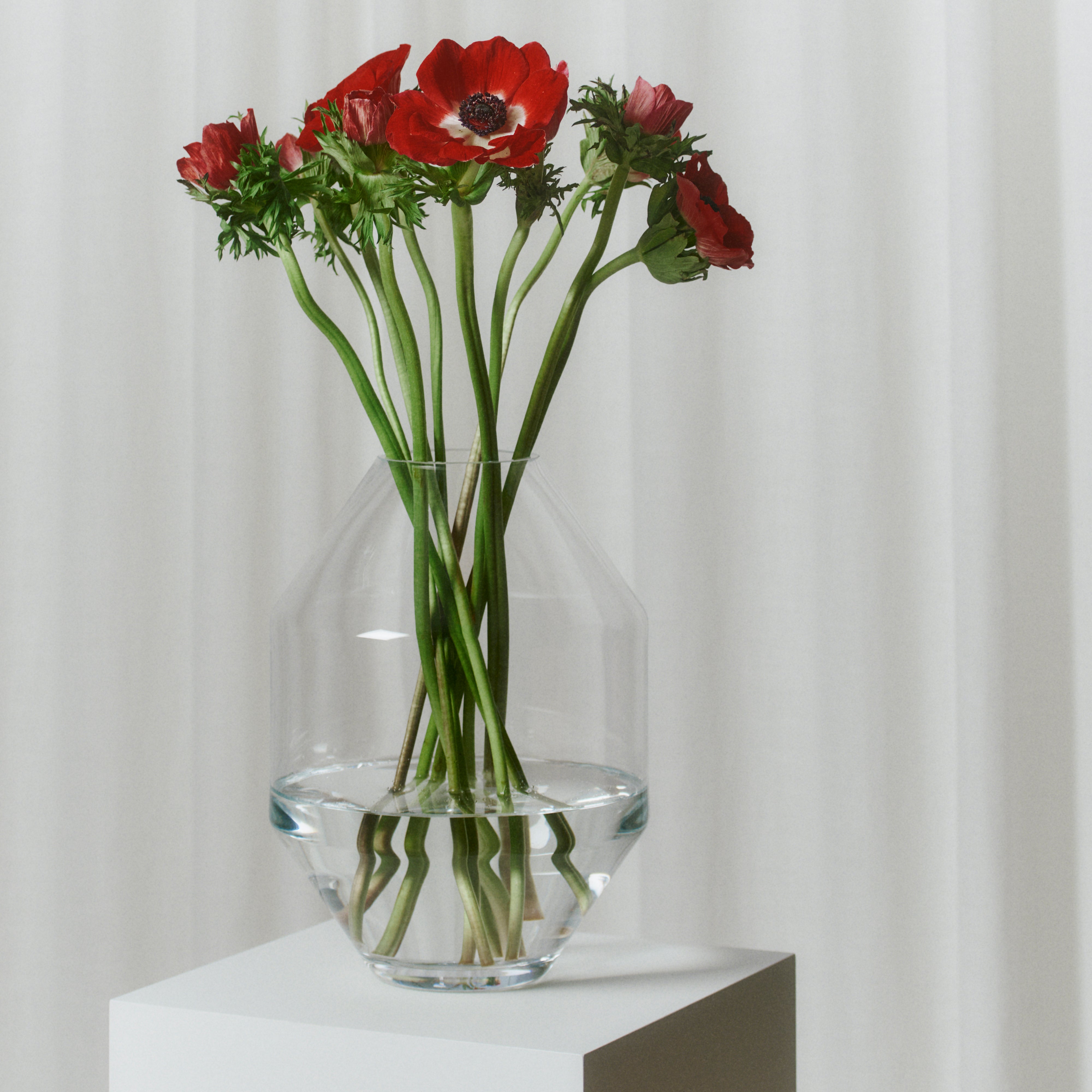 Hydro Vase: Glass