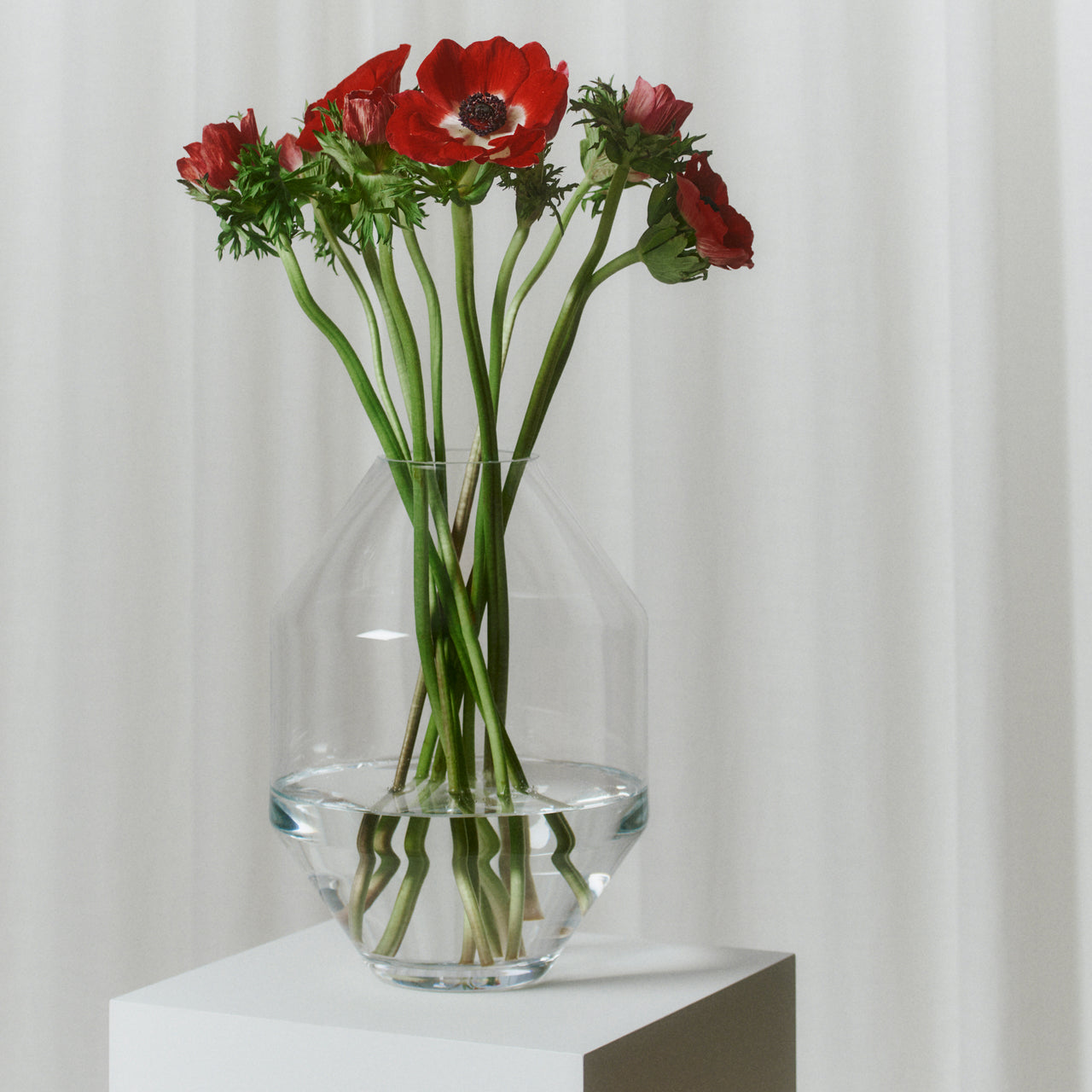 Hydro Vase: Glass