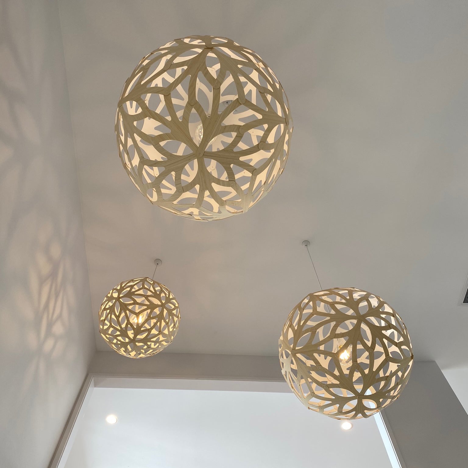 Floral Pendant Light: Medium