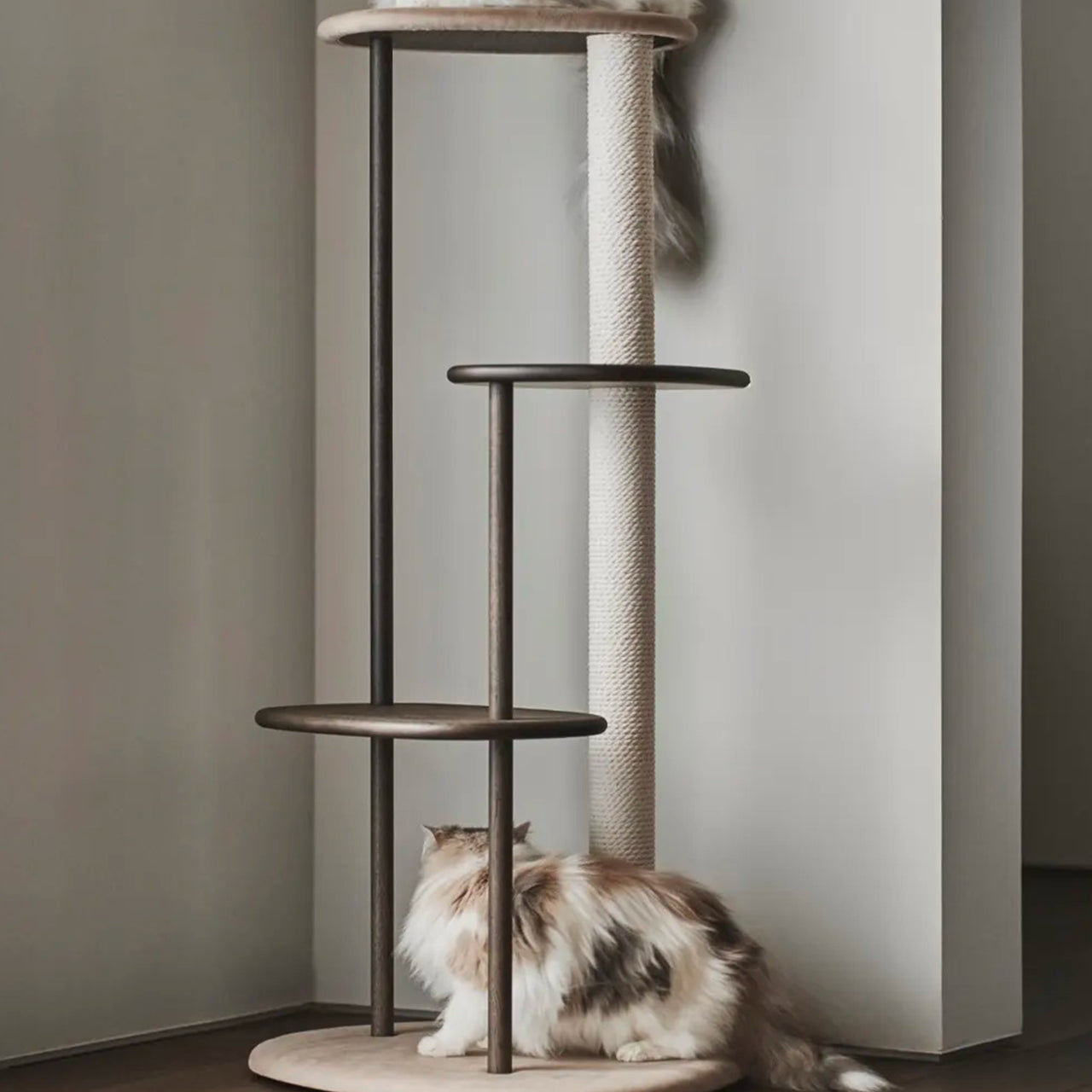 Cat Tree