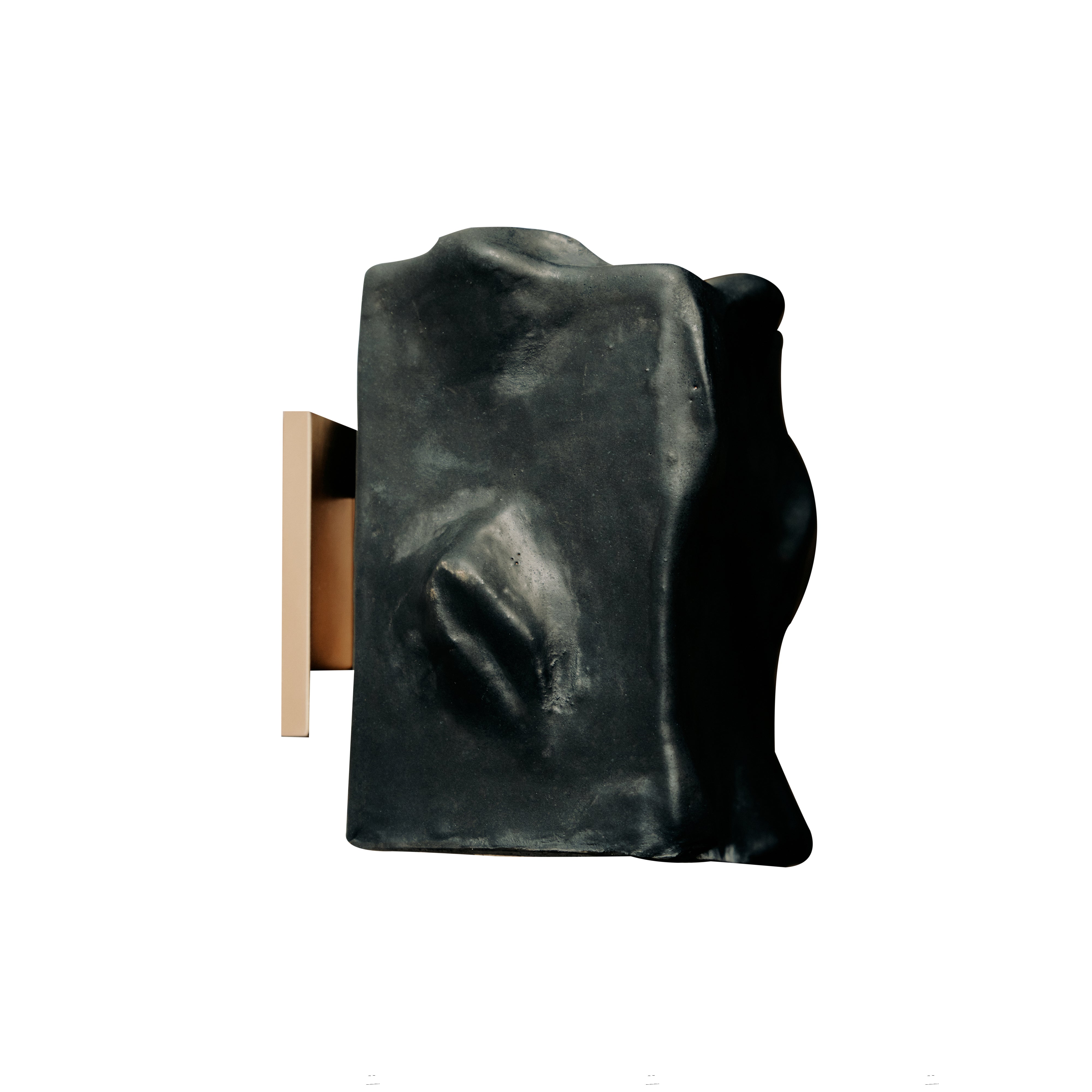 Luca Wall Sconce: Artist Edition + Ivy + Brass