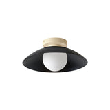 Arundel Orb Surface Mount: Black + Bone + Hardwire