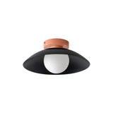 Arundel Orb Surface Mount: Outdoor + Peach + Black