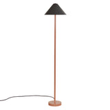 Eave Floor Lamp: Black + Peach