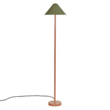 Eave Floor Lamp: Reed Green + Peach