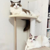 Cat Tree