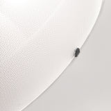 Iris Ceiling/Wall Light: DI