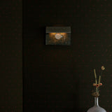 insitu