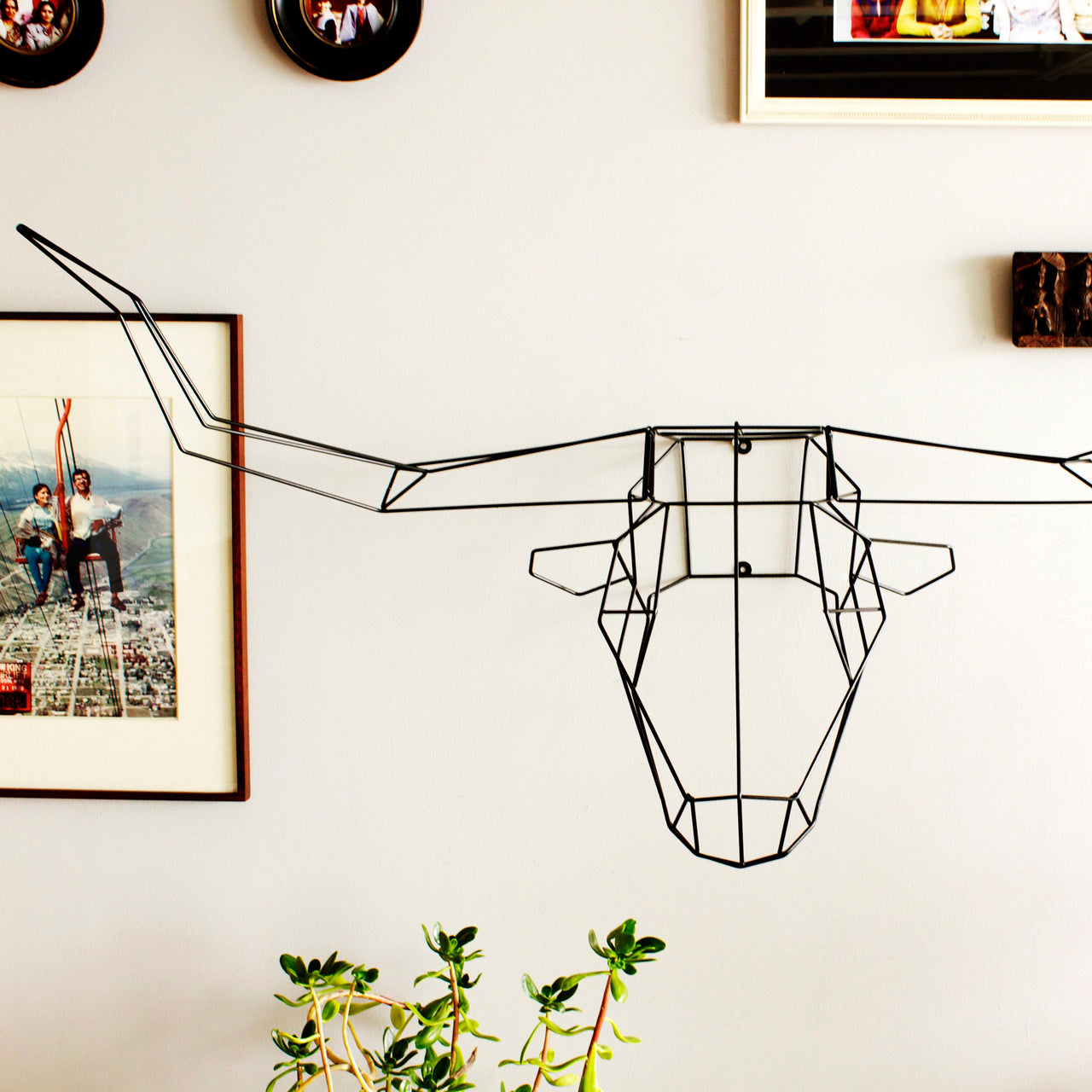 Longhorn Trophy Head