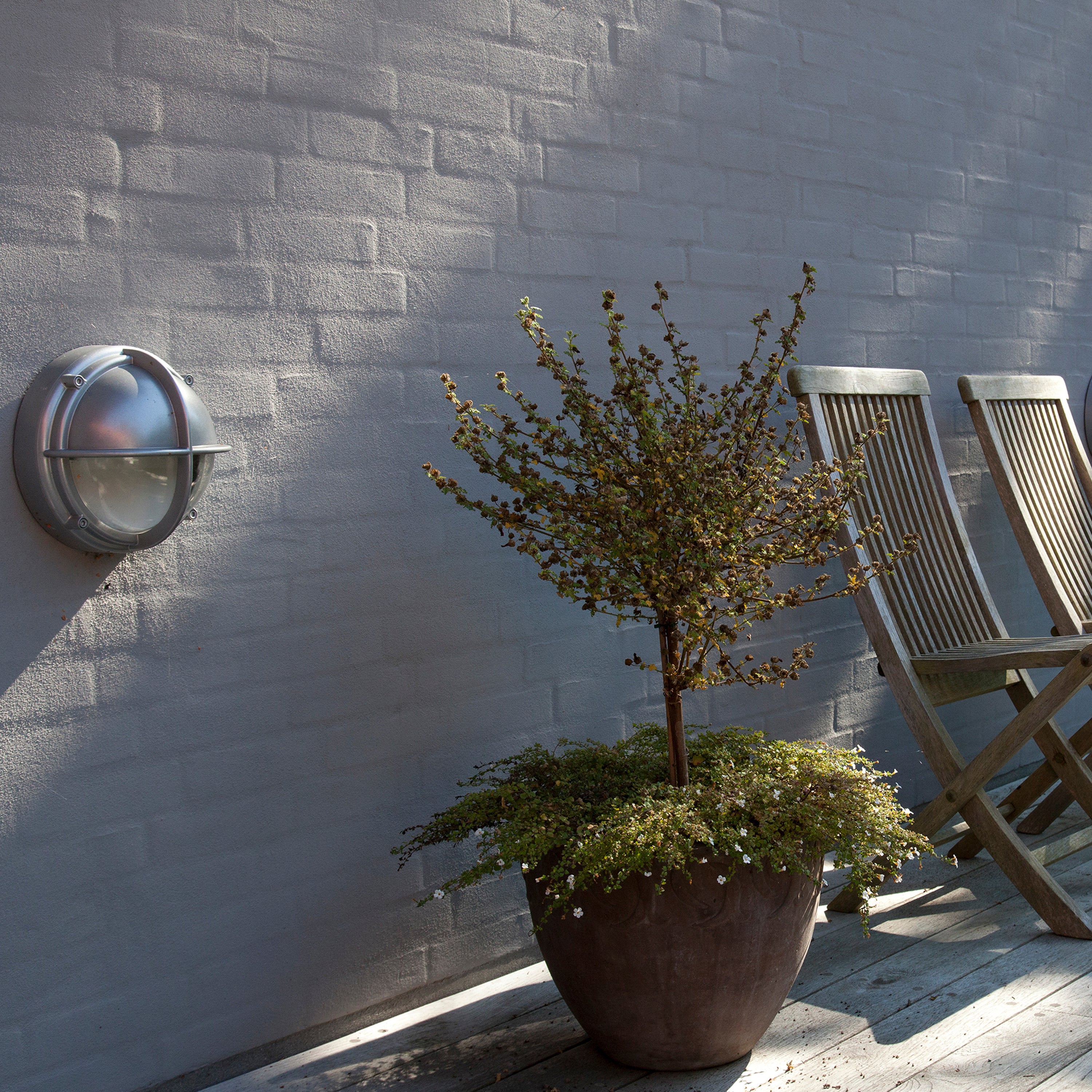 Skot Wall Lamp: Outdoor