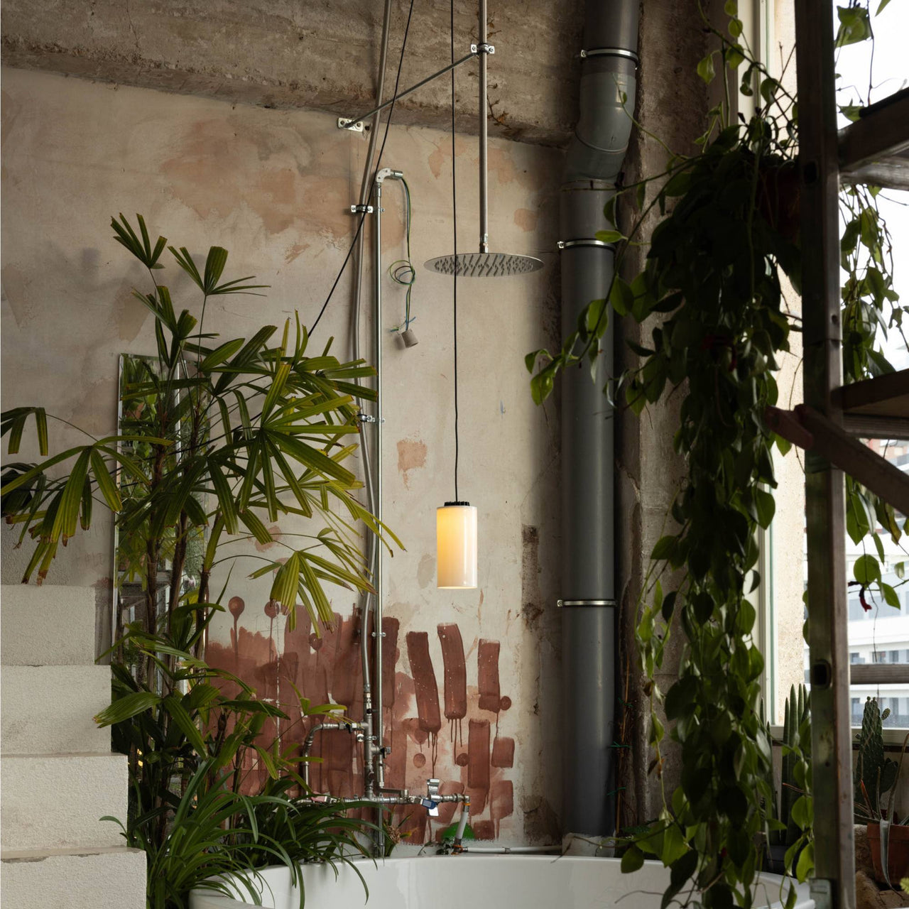 insitu