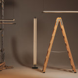 insitu