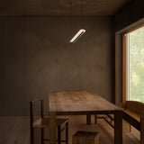 insitu