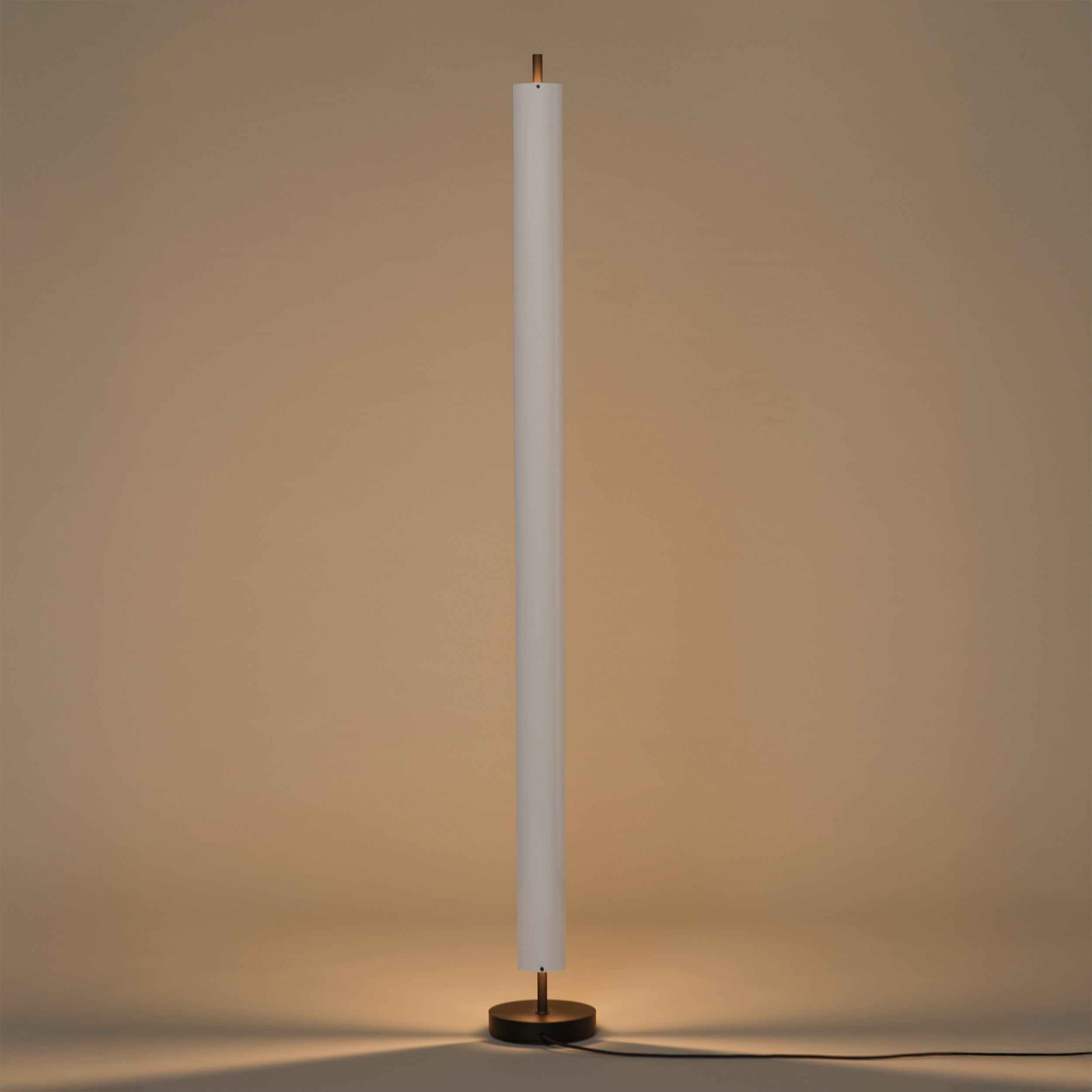 Lámina 165 Floor Lamp