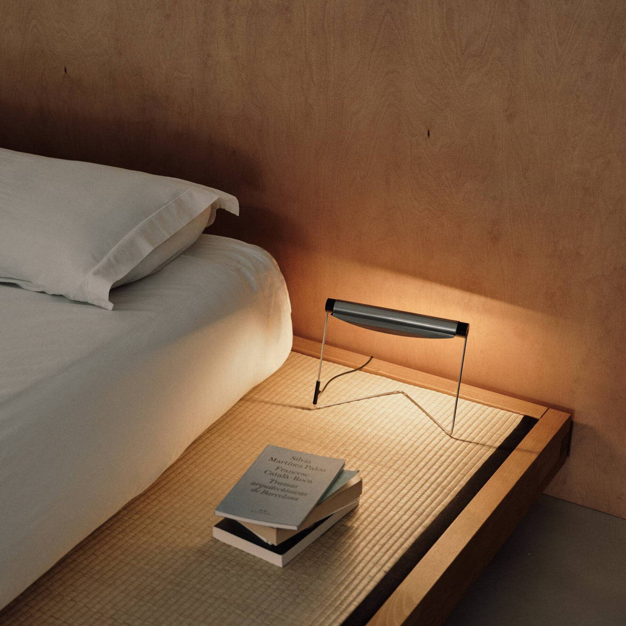 insitu
