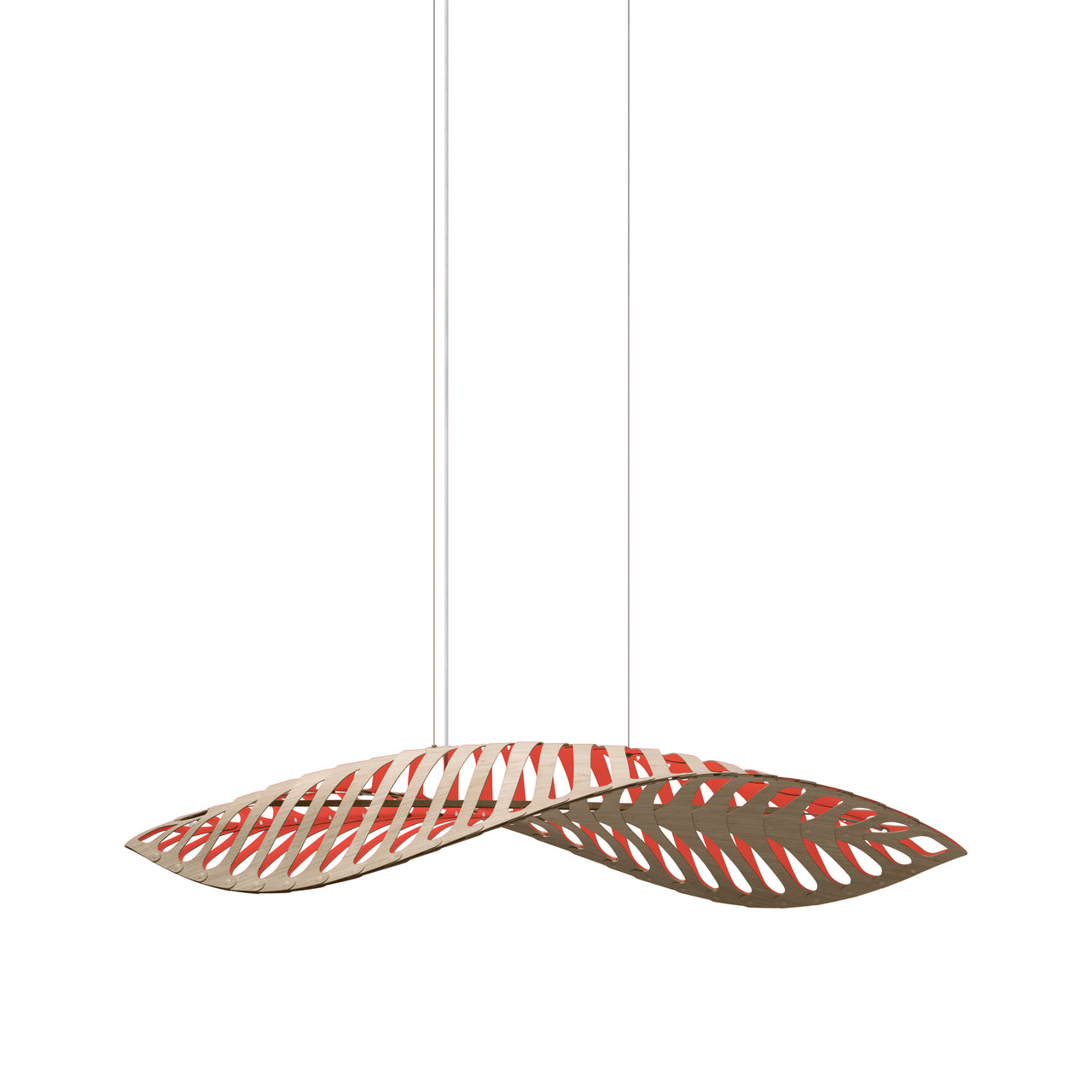 Navicula Pendant Light: Large - 98.4