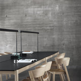 Linear Mounted Table Lamp: Long + DI