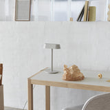 Linear Table Lamp: LS