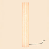 Lucerama Floor Lamp