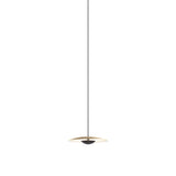 Ginger 20-24V Pendant Light: Brushed Brass + White