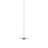 Ginger 20-24V Pendant Light: Oak + White