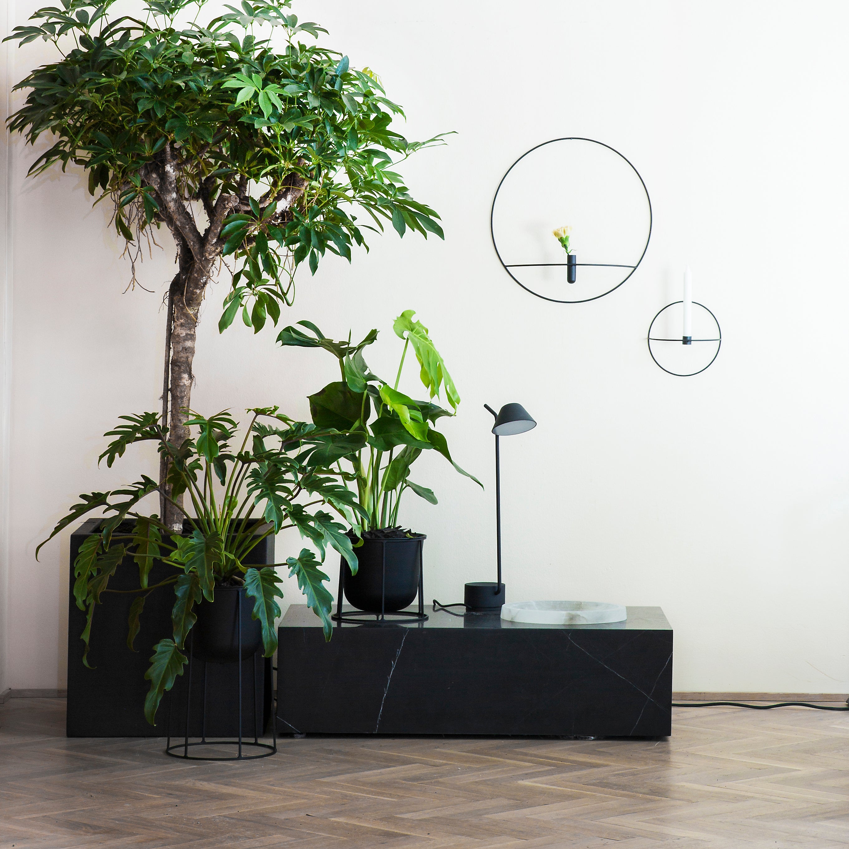 Peek Table Lamp