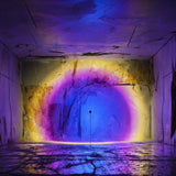 insitu