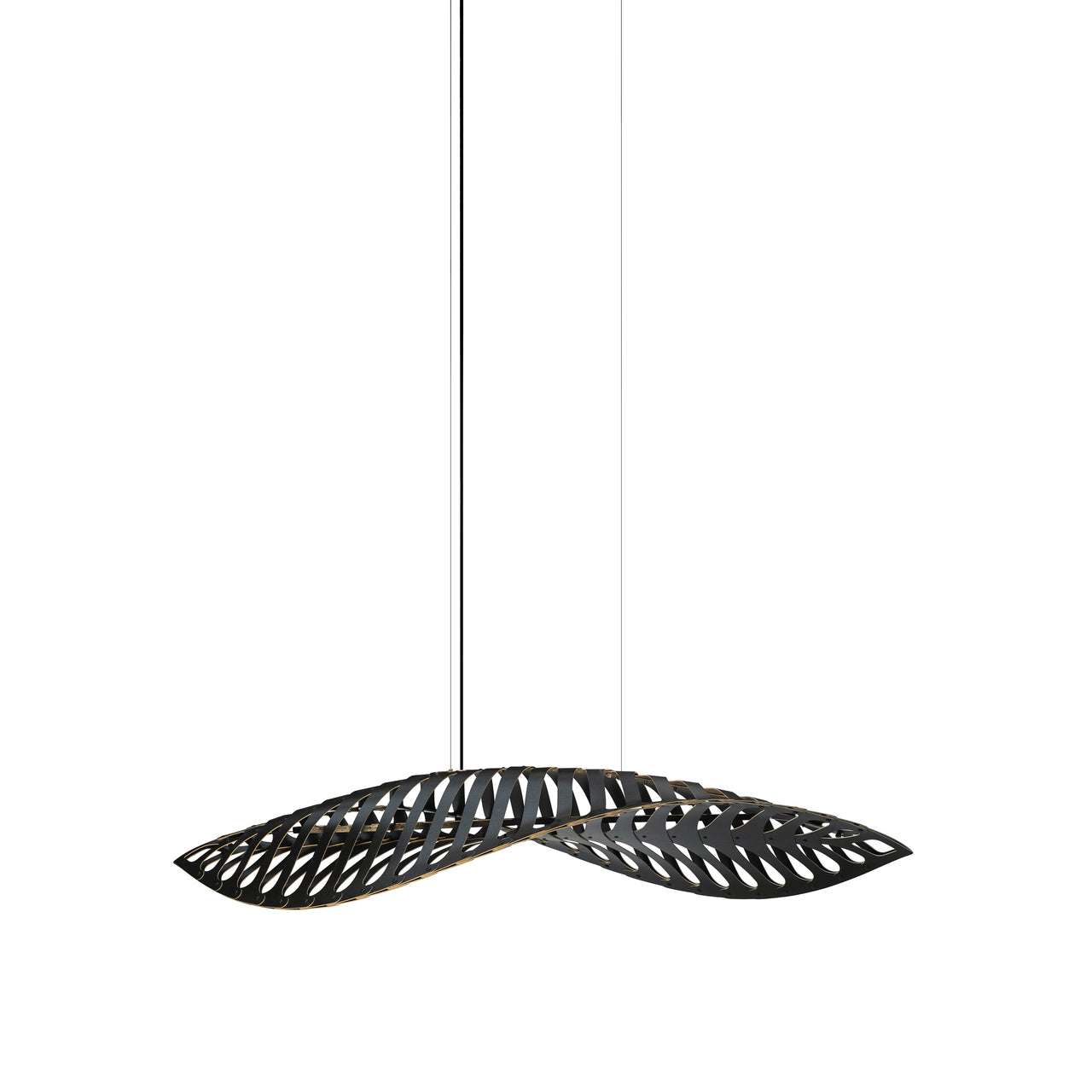 Navicula Pendant Light: Medium - 76.8