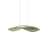 Navicula Pendant Light: Medium - 35.4