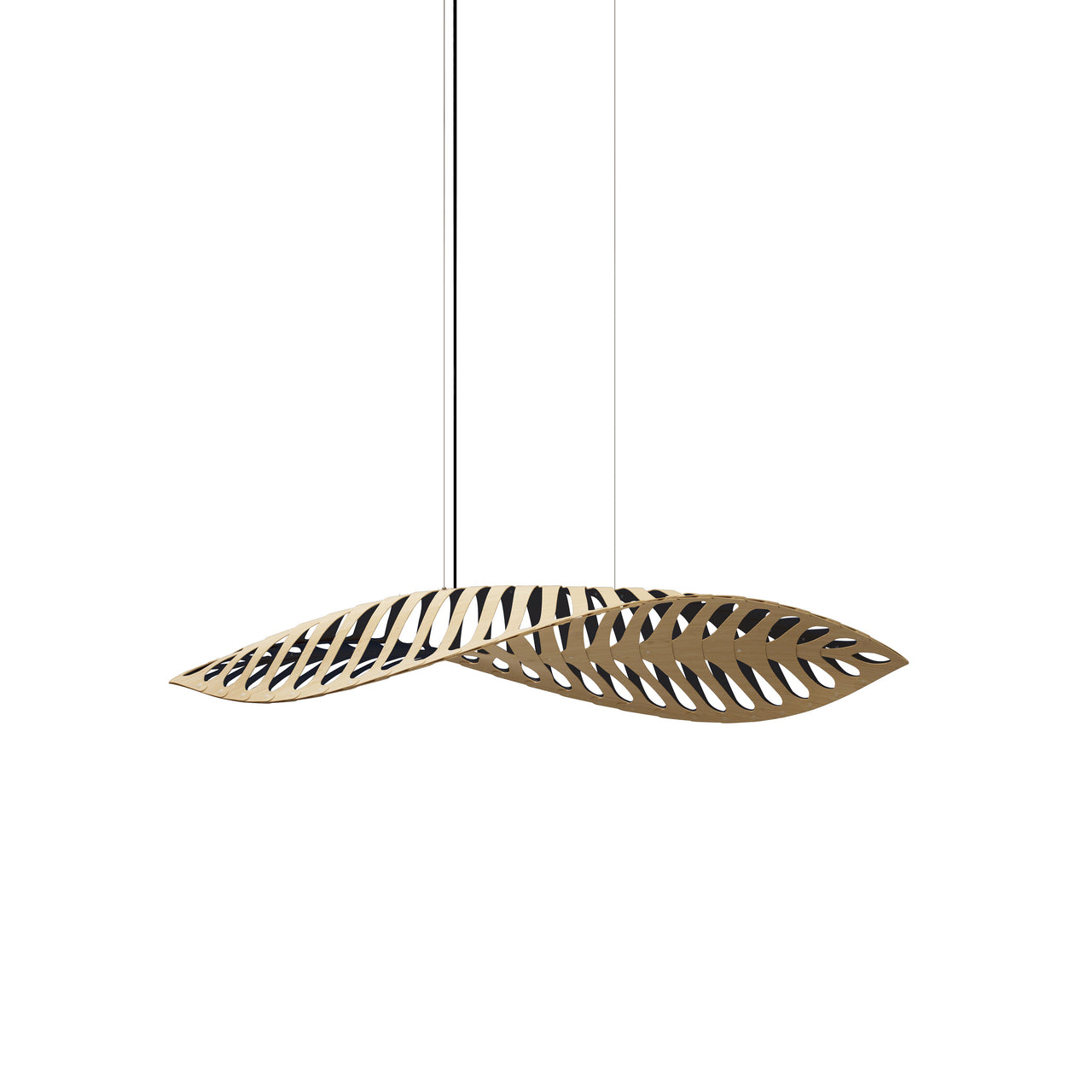 Navicula Pendant Light: Medium - 35.4