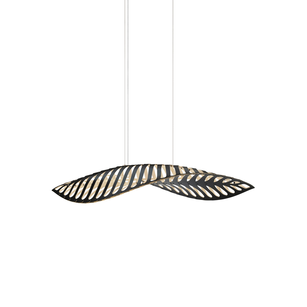 Navicula Pendant Light: Medium - 35.4