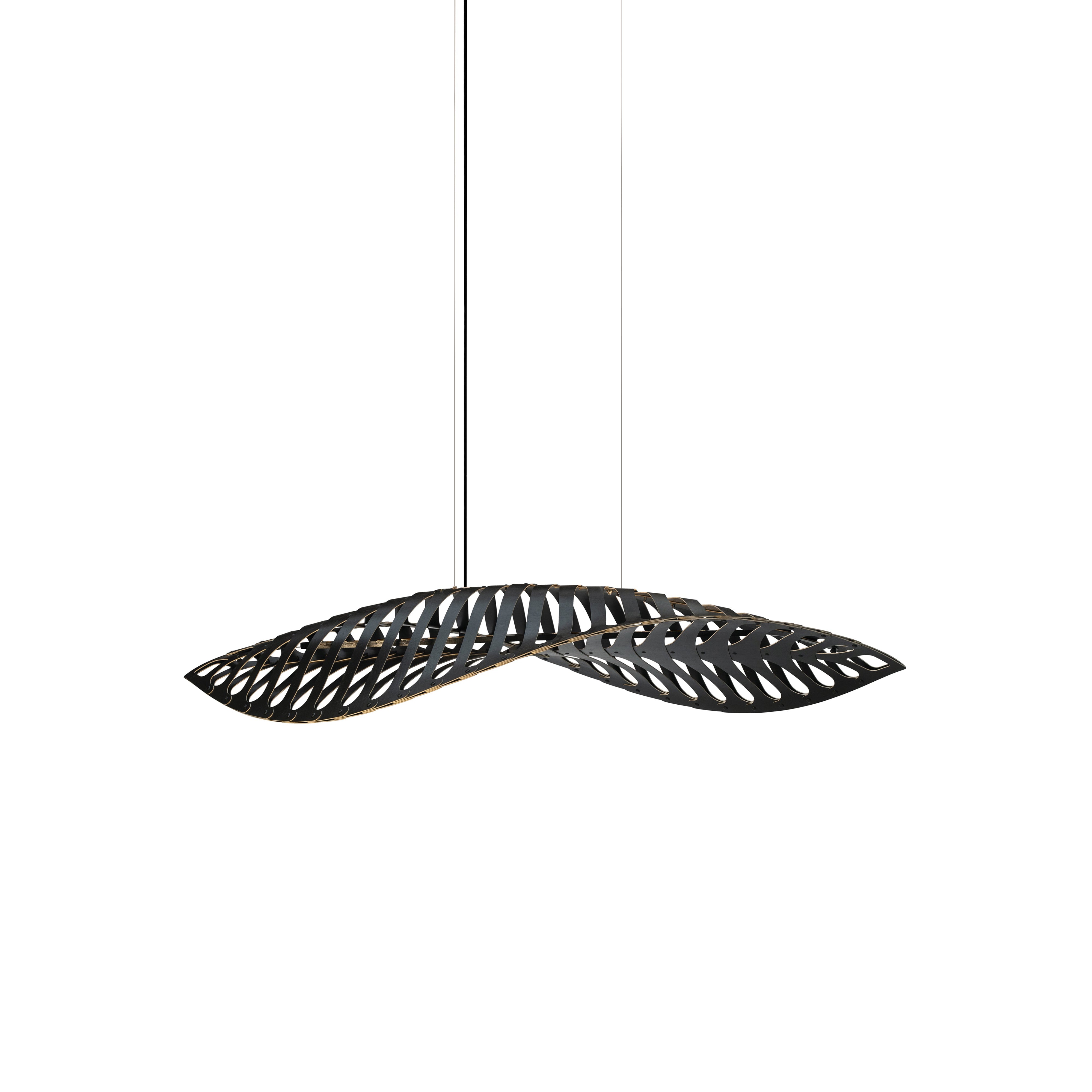 Navicula Pendant Light: Medium - 35.4
