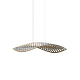 Navicula Pendant Light: Medium - 35.4