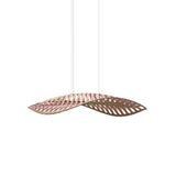 Navicula Pendant Light: Medium - 35.4
