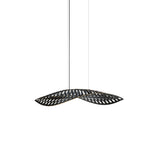 Navicula Pendant Light: Small - 22.4