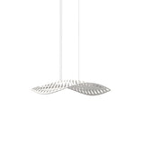 Navicula Pendant Light: Small - 22.4