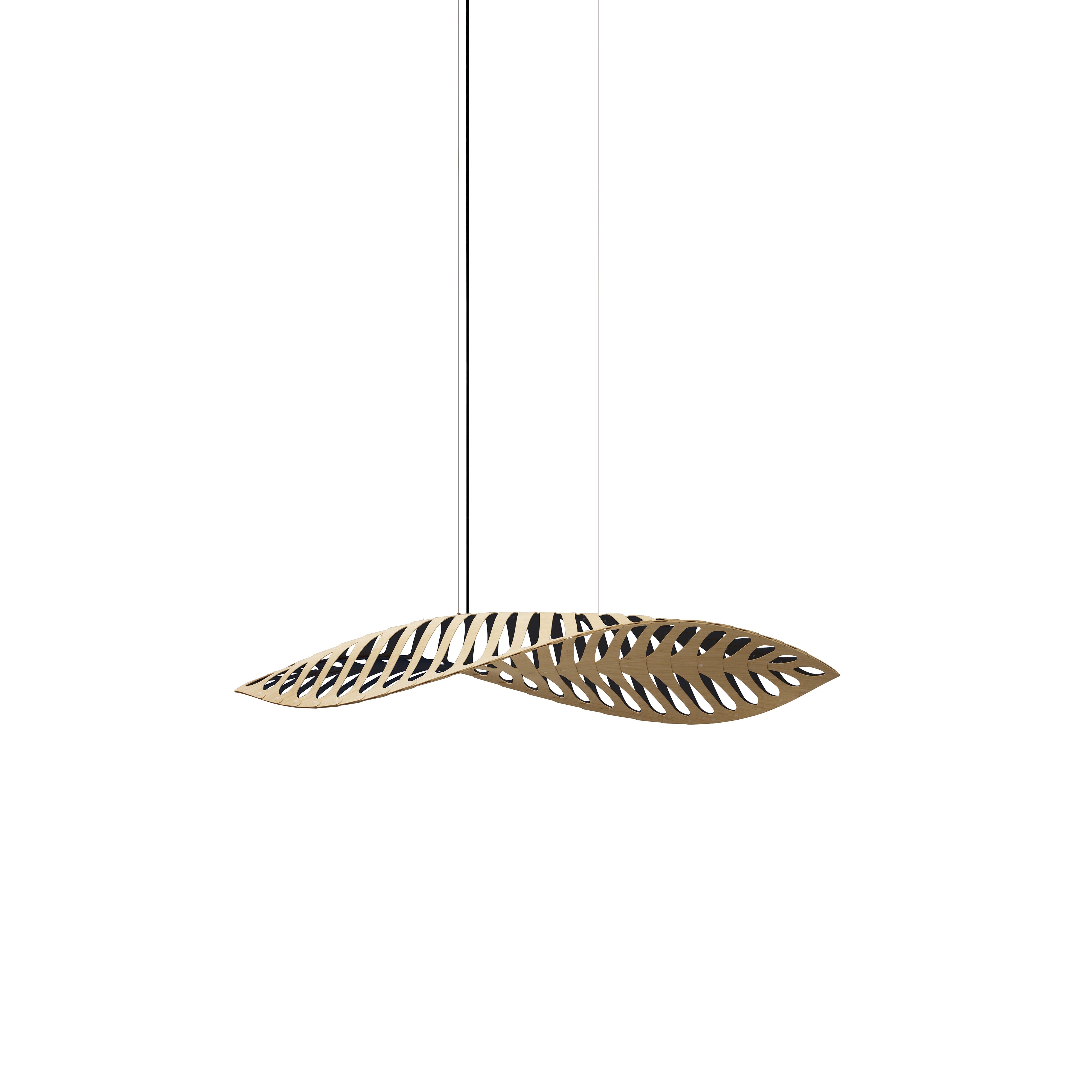 Navicula Pendant Light: Small - 22.4