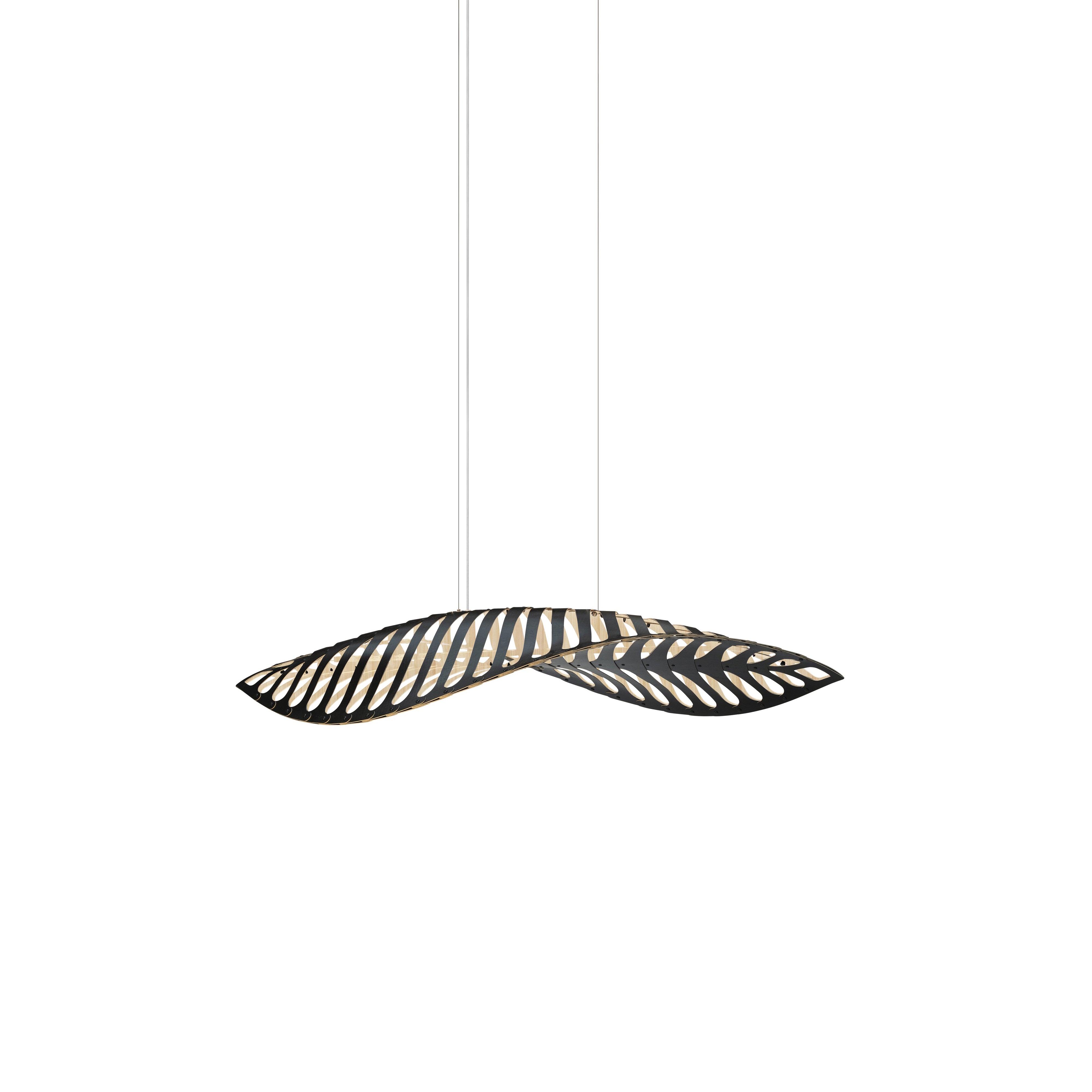 Navicula Pendant Light: Small - 22.4