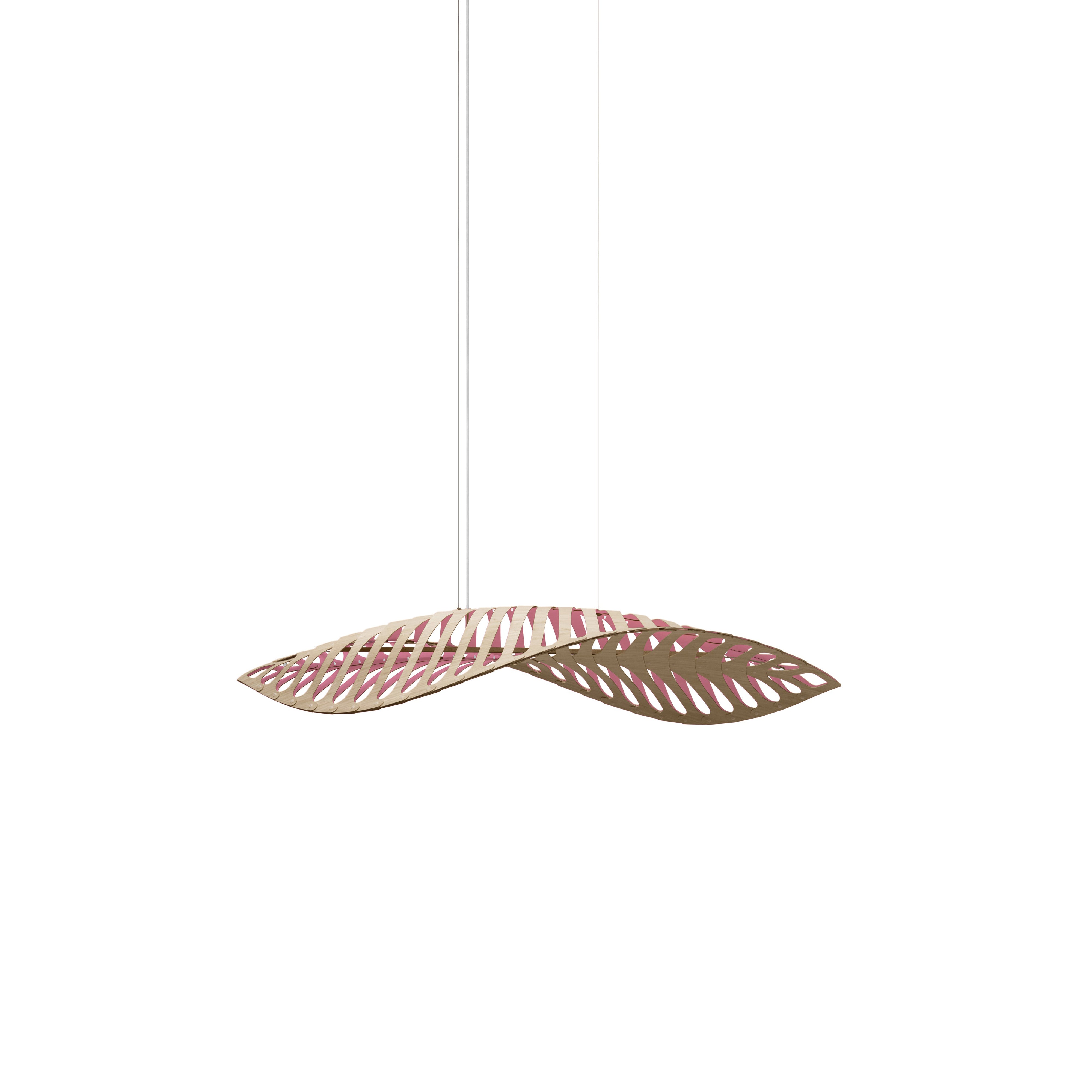 Navicula Pendant Light: Small - 22.4