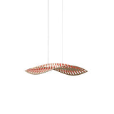 Navicula Pendant Light: Small - 22.4