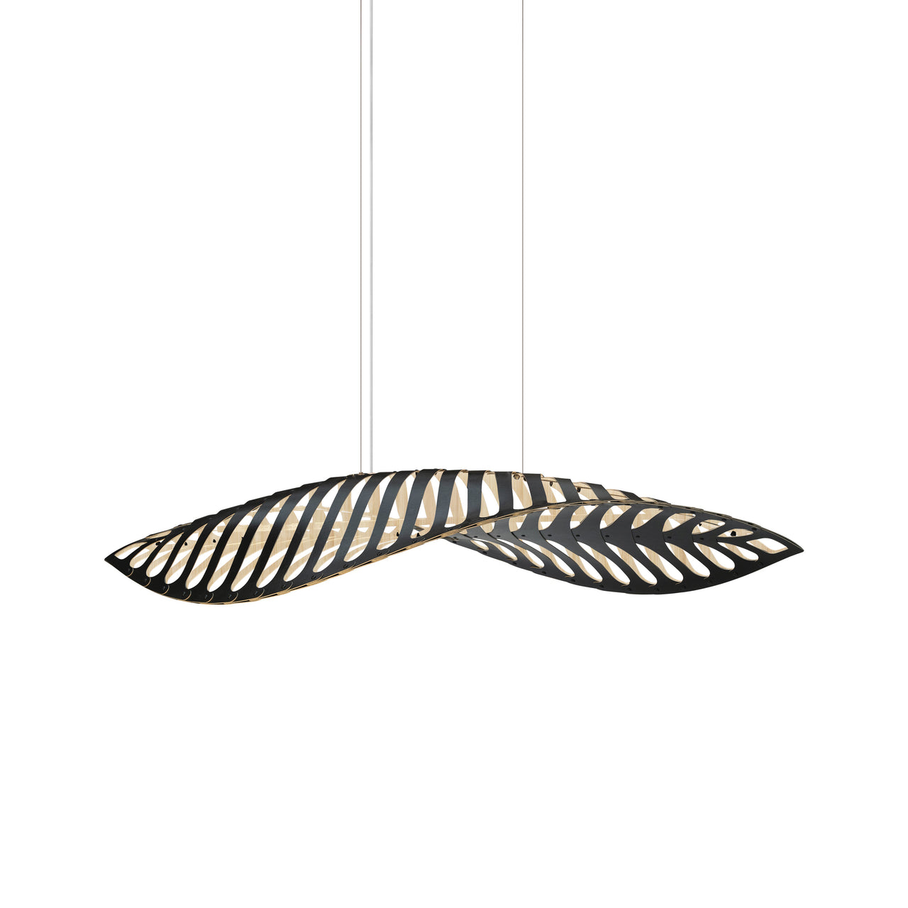 Navicula Pendant Light: Large - 39.4