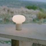 insitu