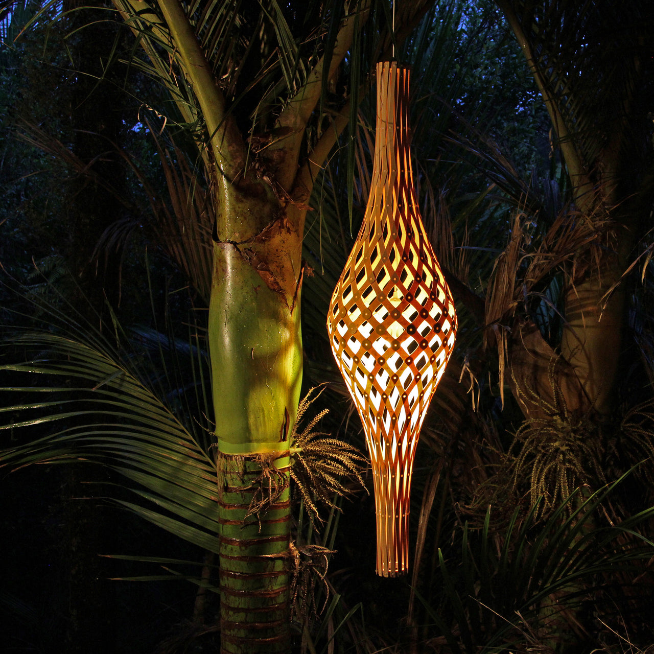 insitu