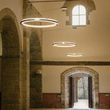insitu