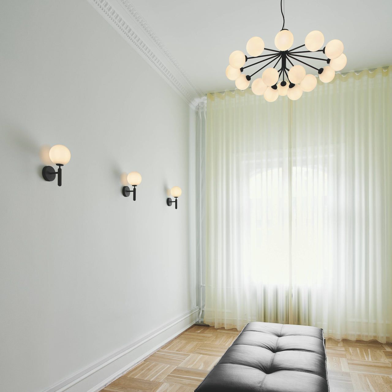 Apiales 18 Chandelier