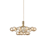 Apiales 18 Chandelier: Brushed Brass + Optic Gold + Gold